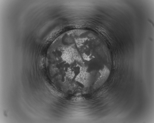 X0000102350503200808221657
