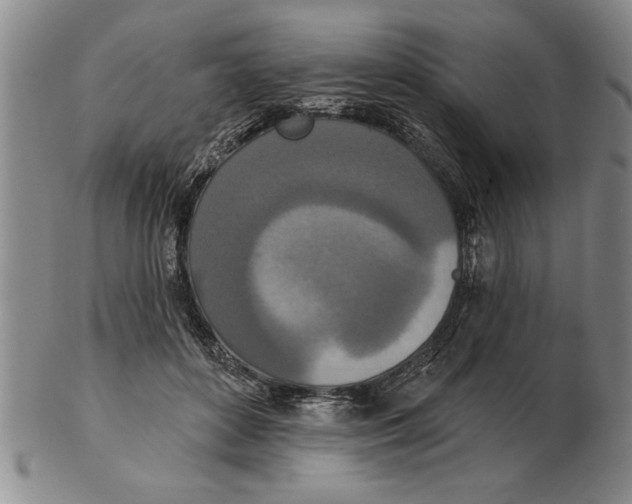 X0000102350504200808221657