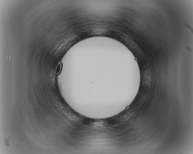 X0000102350505200808221657
