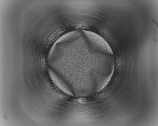 X0000102350506200808221657