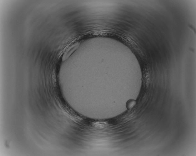 X0000102350508200808221657
