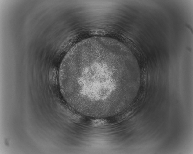 X0000102350511200808221657