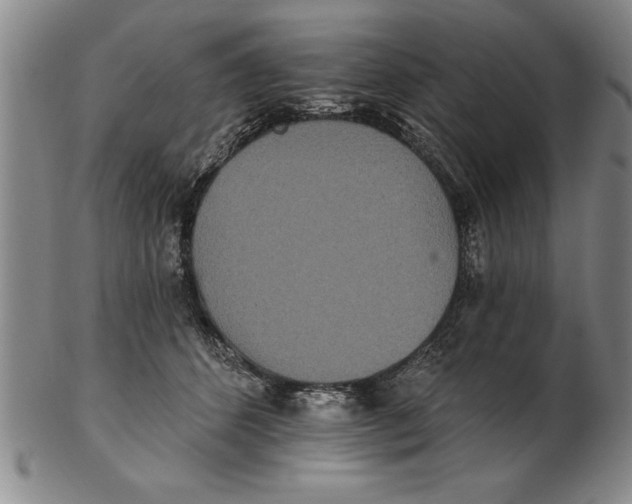 X0000102350512200808221657