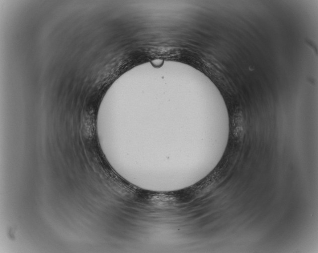 X0000102350515200808221656