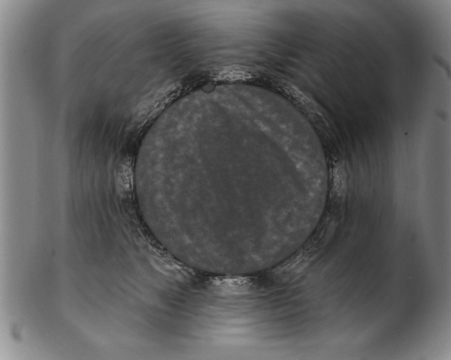 X0000102350517200808221656