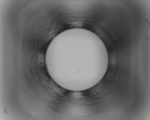 X0000102350518200808221656
