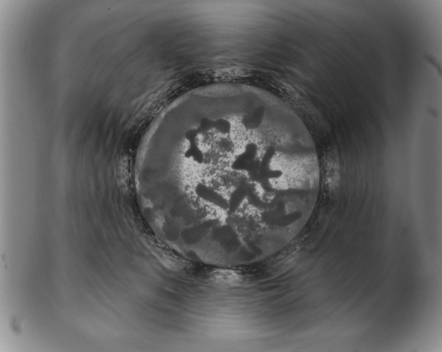 X0000102350519200808221656