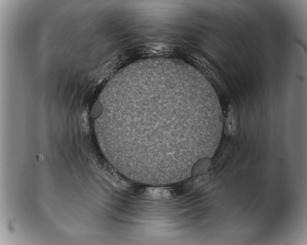 X0000102350520200808221656