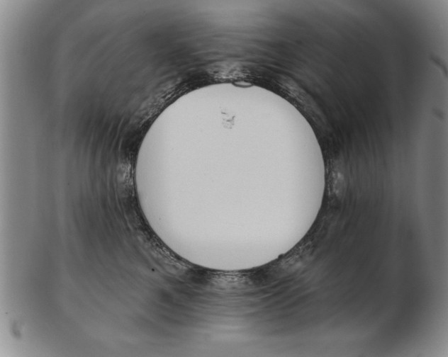 X0000102350521200808221656