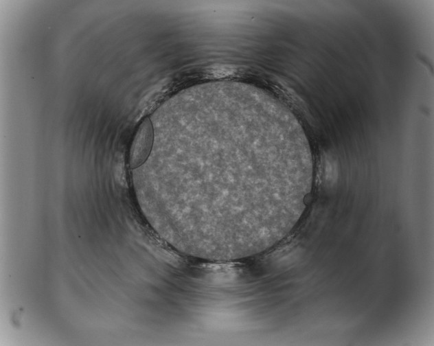 X0000102350524200808221656