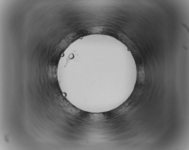 X0000102350525200808221656