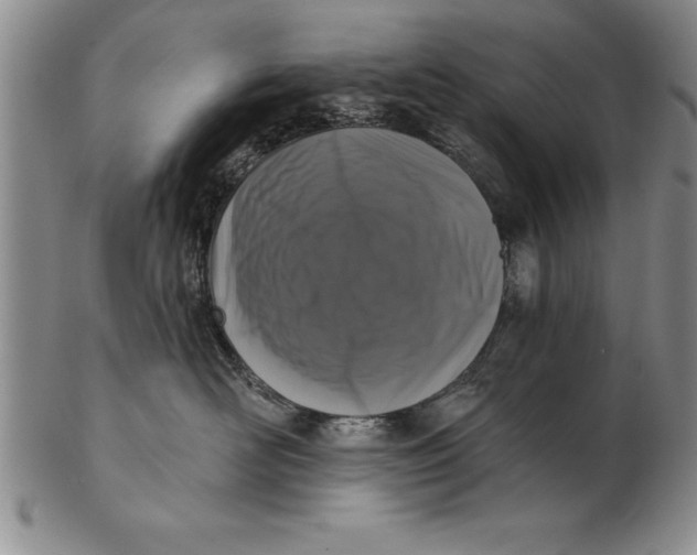 X0000102350526200808221656
