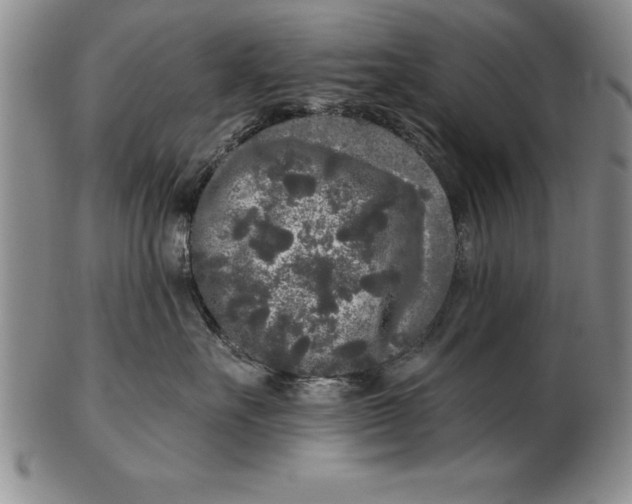 X0000102350527200808221656