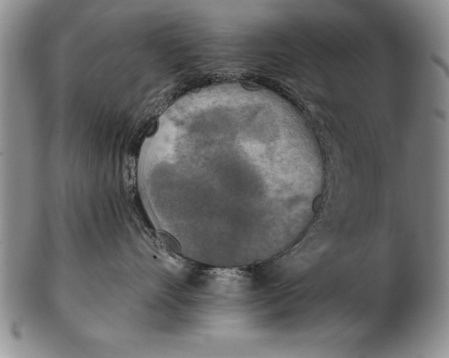 X0000102350528200808221656