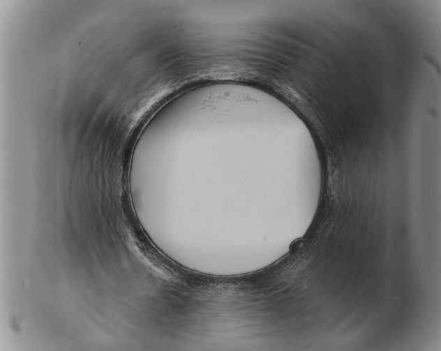 X0000102350530200808221656