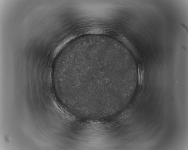 X0000102350531200808221656