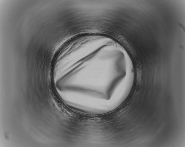 X0000102350532200808221656