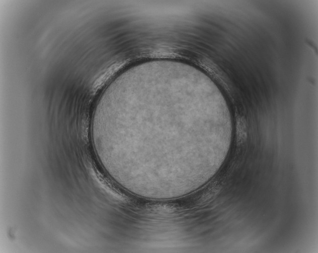 X0000102350533200808221656