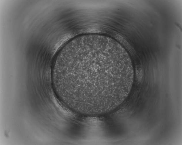 X0000102350534200808221656