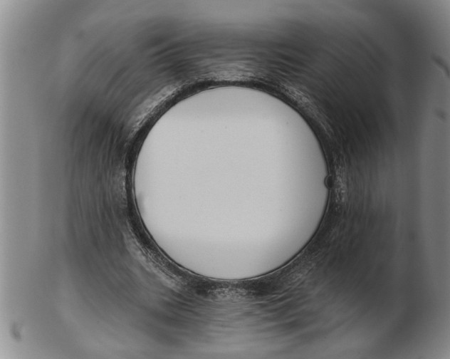 X0000102350535200808221656