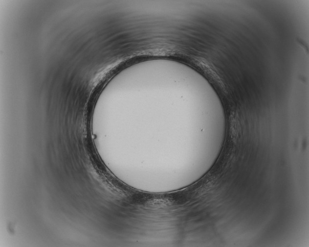 X0000102350536200808221656