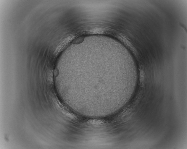 X0000102350537200808221656