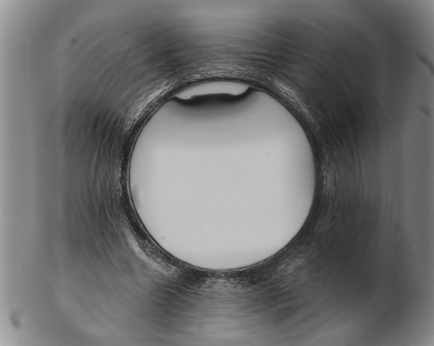 X0000102350538200808221656