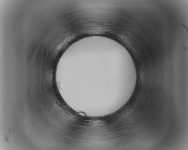 X0000102350539200808221656