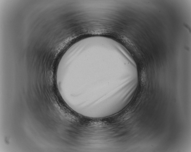 X0000102350540200808221656