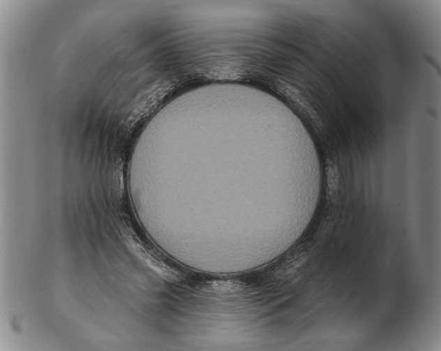 X0000102350541200808221656