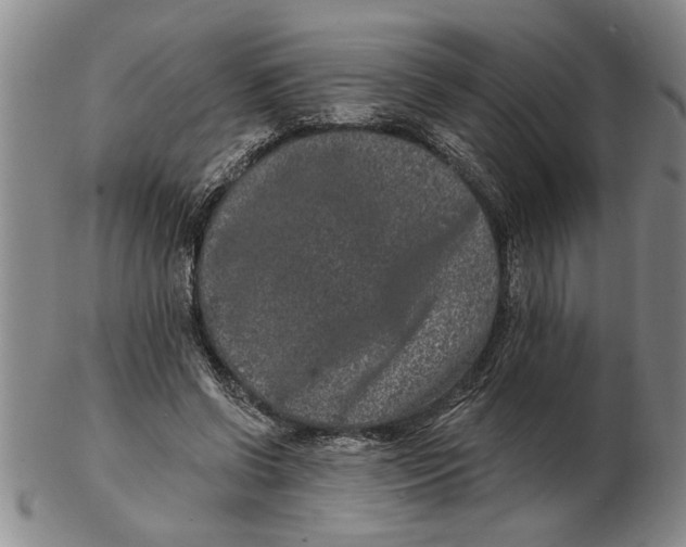 X0000102350542200808221656