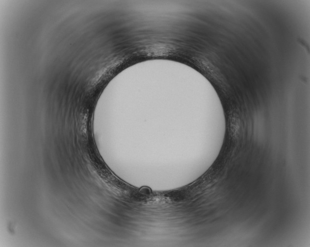 X0000102350543200808221656