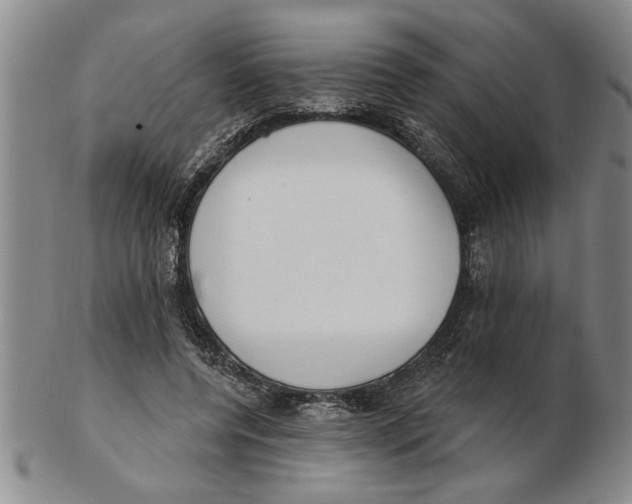 X0000102350544200808221656