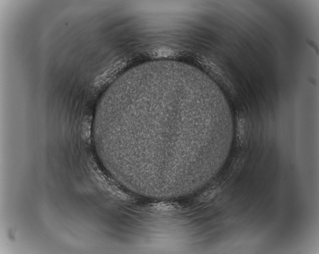 X0000102350545200808221656