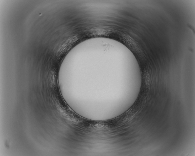X0000102350546200808221656