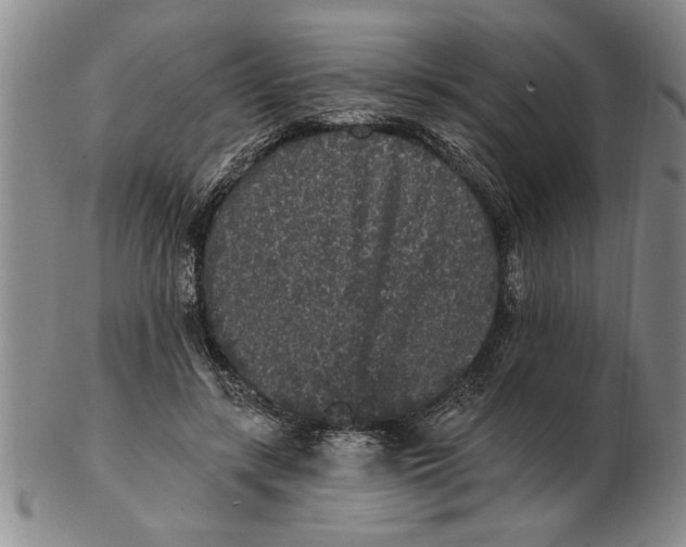 X0000102350547200808221656