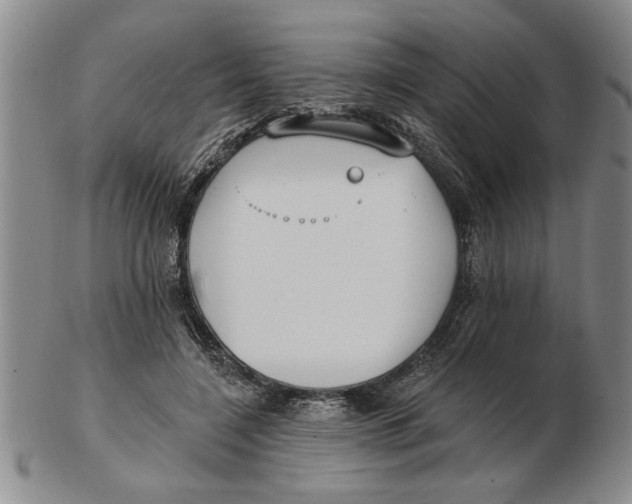 X0000102350548200808221656