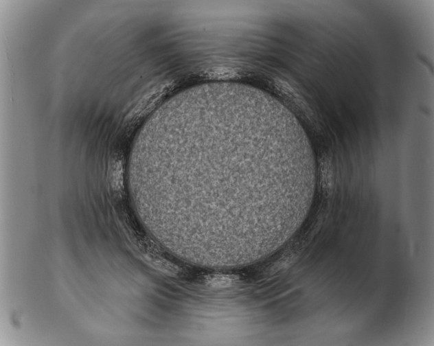 X0000102350549200808221656