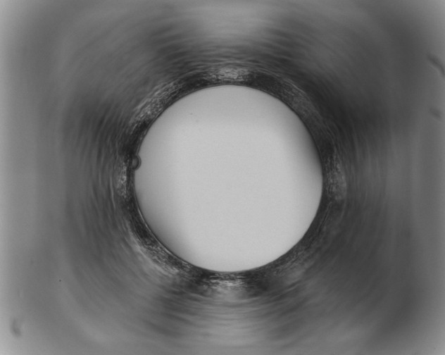 X0000102350552200808221656