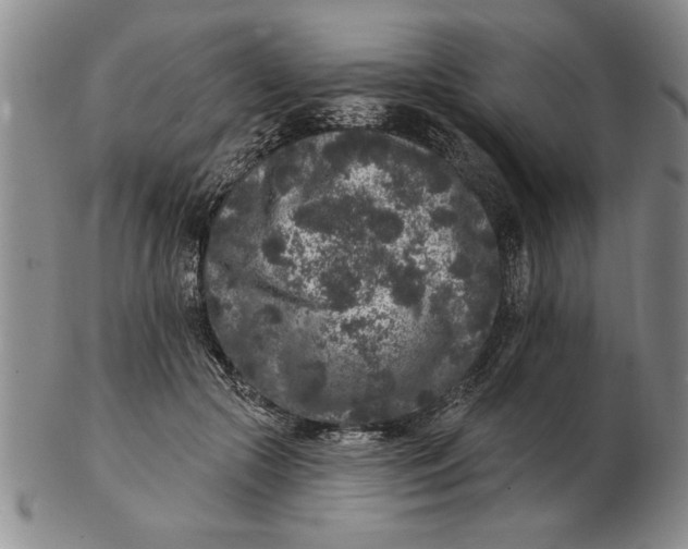 X0000102350553200808221656