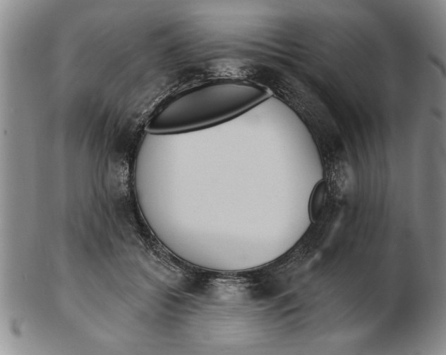 X0000102350556200808221656