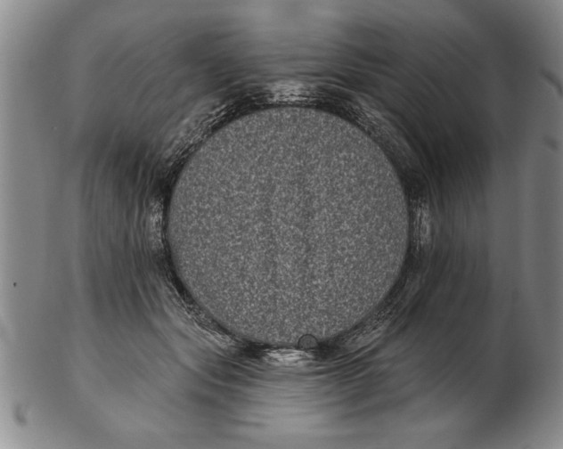 X0000102350557200808221656