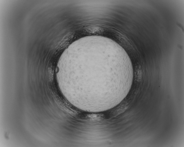 X0000102350558200808221656