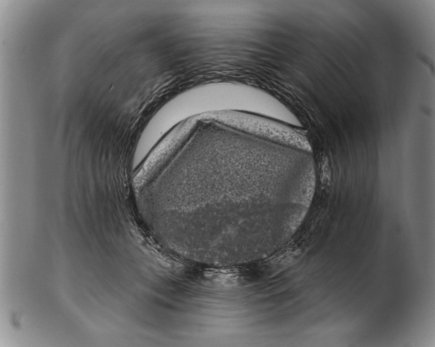 X0000102350559200808221656