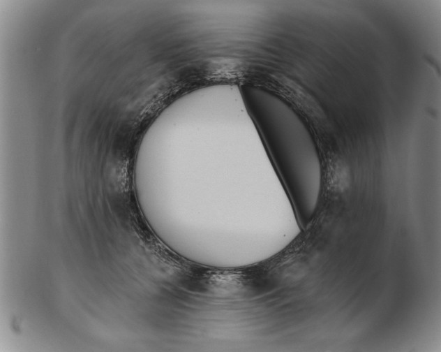 X0000102350560200808221656