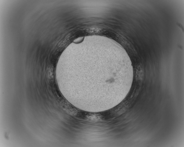 X0000102350561200808221656