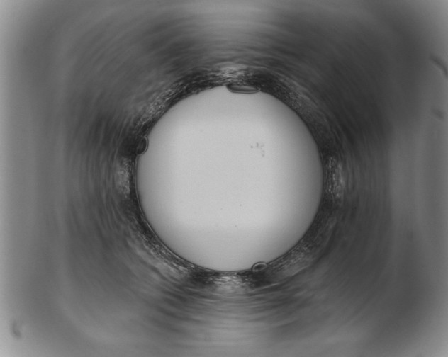 X0000102350562200808221656