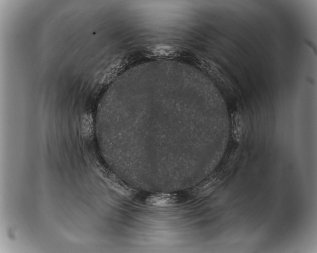 X0000102350563200808221656