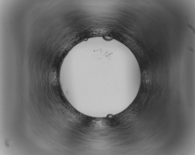 X0000102350564200808221656