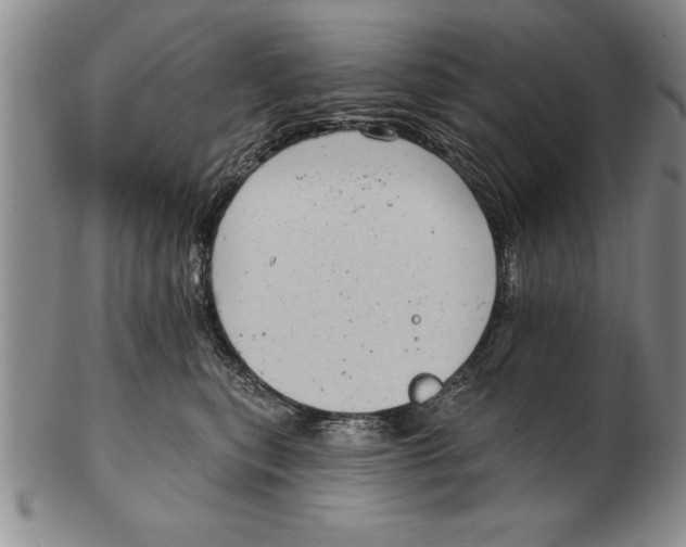 X0000102350567200808221656